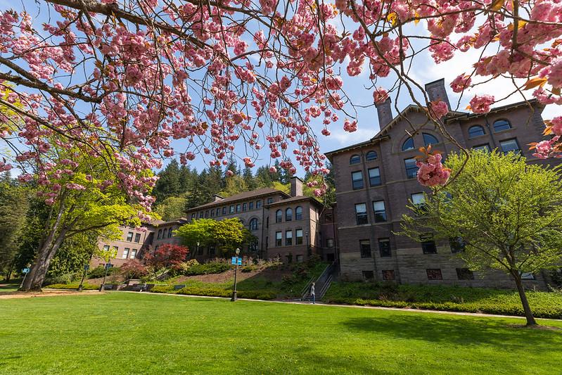 Brick building (Old Main) with cherry blossoms. Photo by Luke Hollister/WWU